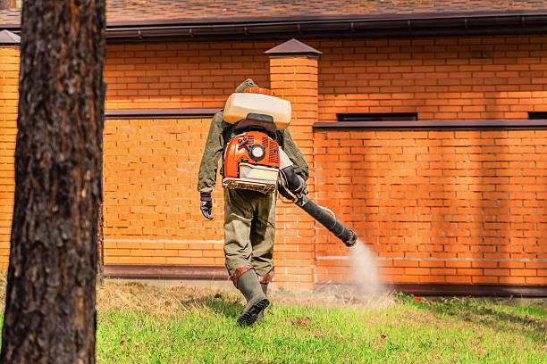 Trusted Rodent Control service in Dillsburg, PA - Nex Pest Control